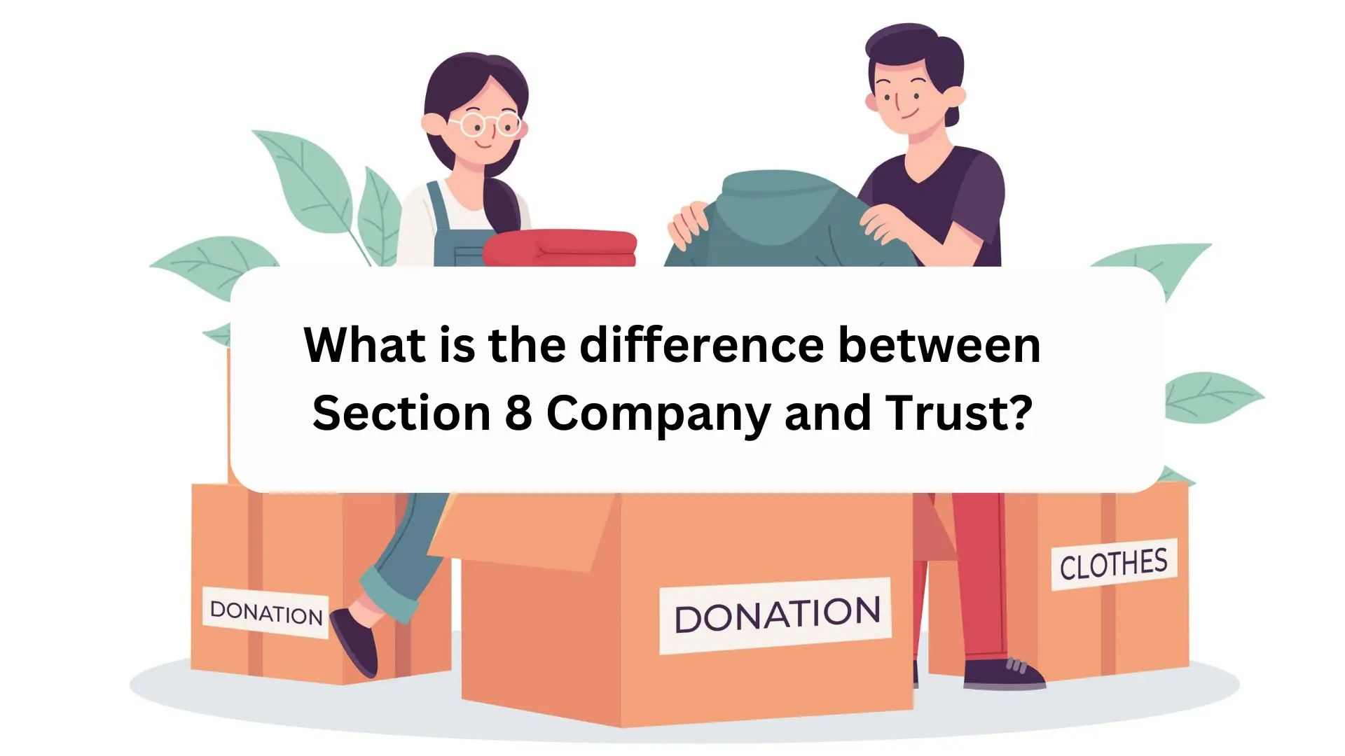 What is Difference between Section 8 Company and Trust?